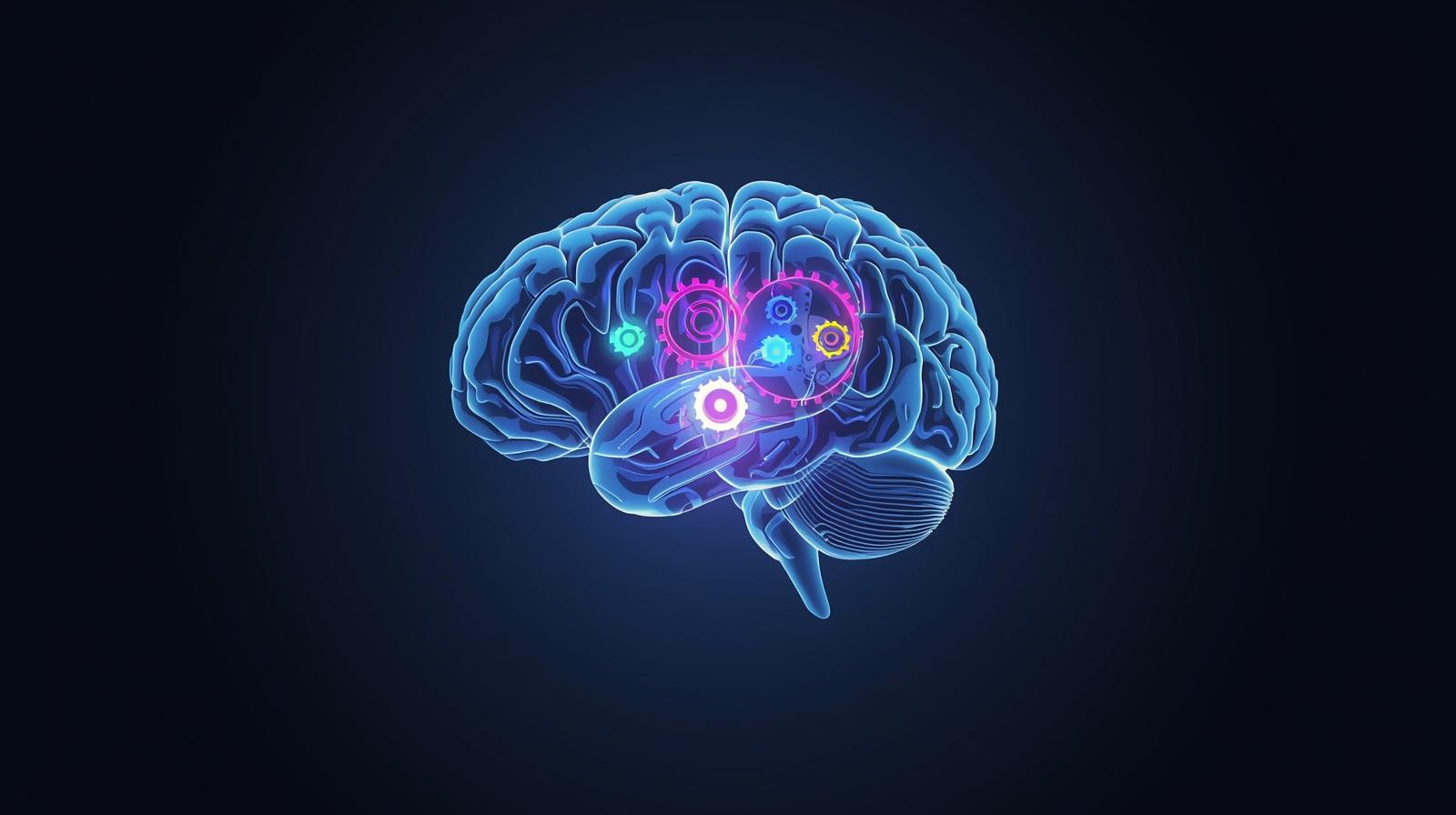 Beyond Willpower: The ADHD Focus Engine Theory for Effective Studying